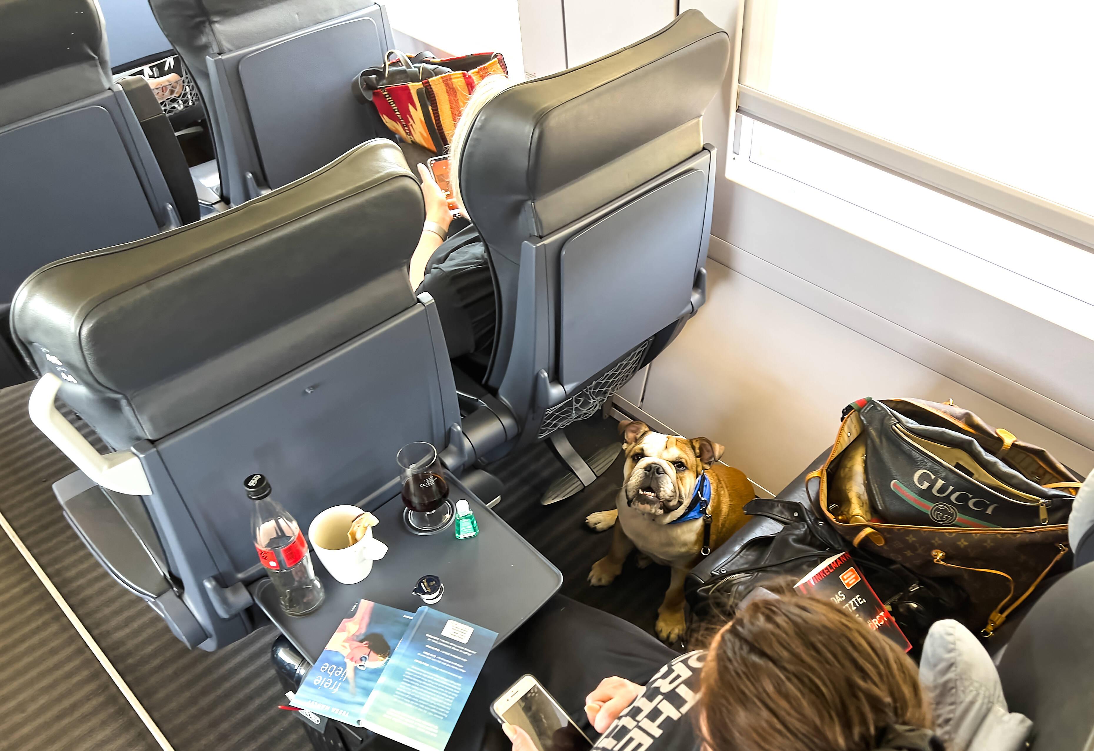 Surfbrett, Hund, Bollerwagen? Dieses Gepäck darf bei der Bahn mit in den Zug